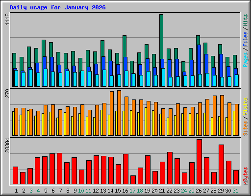 Daily usage for January 2026