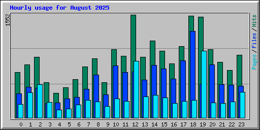 Hourly usage for August 2025