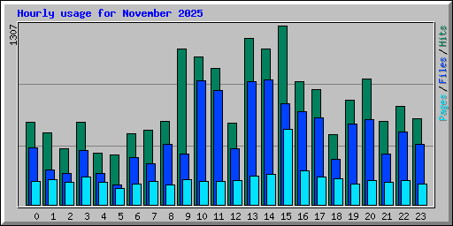 Hourly usage for November 2025
