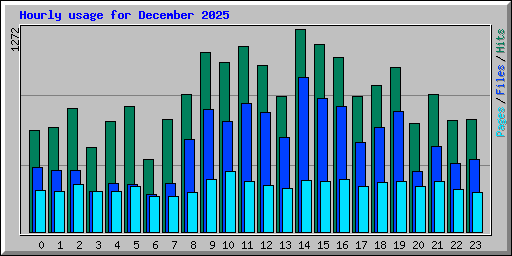 Hourly usage for December 2025