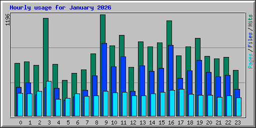 Hourly usage for January 2026