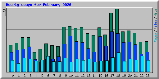 Hourly usage for February 2026